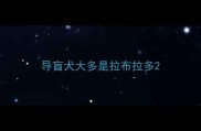 导盲犬大多是拉布拉多