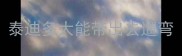 泰迪多大能带出去遛弯