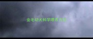 金毛幼犬科学喂养方法