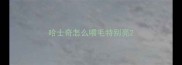 哈士奇怎么喂毛特别亮