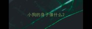 小狗的身子像什么