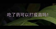 吃了药可以打疫苗吗