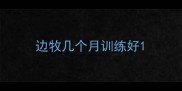 边牧几个月训练好