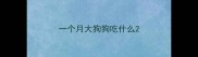 一个月大狗狗吃什么