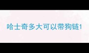 哈士奇多大可以带狗链