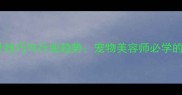 国内宠物造型设计技巧与行业趋势宠物美容师必学的5大造型理论宝典