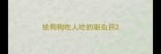 给狗狗吃人吃的驱虫药