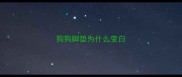 狗狗脚垫为什么变白