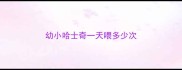 幼小哈士奇一天喂多少次