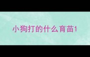 小狗打的什么育苗