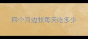 四个月边牧每天吃多少