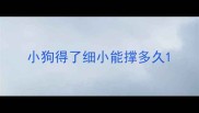 小狗得了细小能撑多久