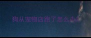 狗从宠物店跑了怎么办