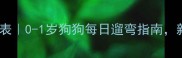 幼犬散步时间表0-1岁狗狗每日遛弯指南新手家长必看