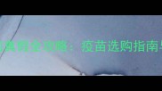 猫疫苗辨别真假全攻略疫苗选购指南与注意事项