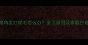 猫咪眼角发红脱毛怎么办全面原因及家庭护理指南