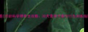柯基2月龄科学喂养全攻略30天营养方案与行为训练指南