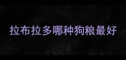 拉布拉多哪种狗粮最好