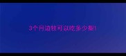 3个月边牧可以吃多少梨