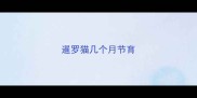 暹罗猫几个月节育