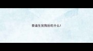 泰迪生完狗后吃什么