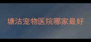 塘沽宠物医院哪家最好