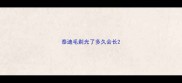 泰迪毛剃光了多久会长