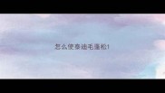 怎么使泰迪毛蓬松