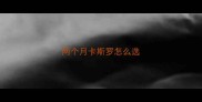 两个月卡斯罗怎么选