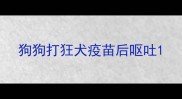 狗狗打狂犬疫苗后呕吐