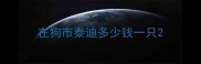 在狗市泰迪多少钱一只