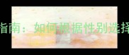 边境牧羊犬公母犬饲养指南如何根据性别选择理想伴侣犬优缺点全