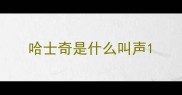 哈士奇是什么叫声