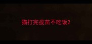 猫打完疫苗不吃饭