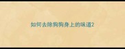 如何去除狗狗身上的味道