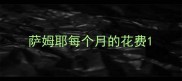 萨姆耶每个月的花费