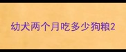 幼犬两个月吃多少狗粮