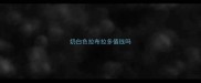 奶白色拉布拉多值钱吗