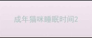 成年猫咪睡眠时间
