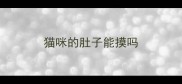 猫咪的肚子能摸吗