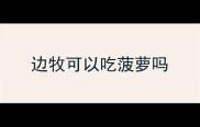 边牧可以吃菠萝吗
