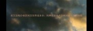 武汉边牧价格区间及饲养成本全纯种混血幼犬价格对比与选购指南