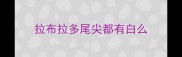 拉布拉多尾尖都有白么