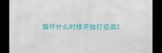 猫仔什么时候开始打疫苗
