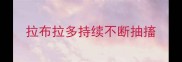 拉布拉多持续不断抽搐