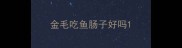 金毛吃鱼肠子好吗