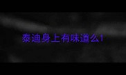 泰迪身上有味道么
