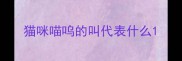 猫咪喵呜的叫代表什么