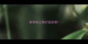 家养的土狗打疫苗麽