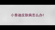 小泰迪皮肤病怎么办